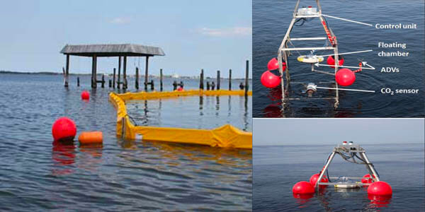 floating dock2