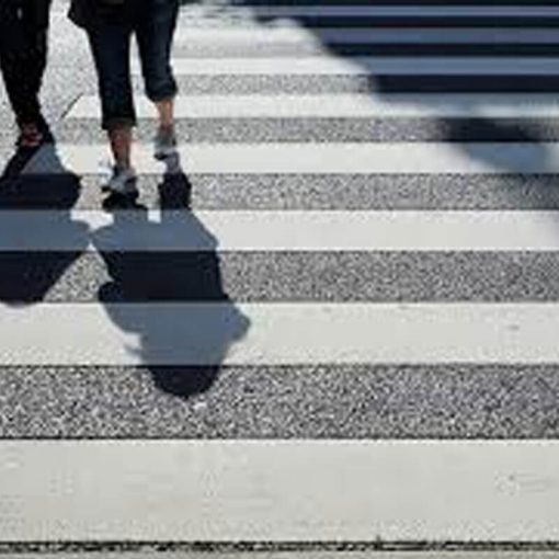 รับทำสีทาม้าลาย