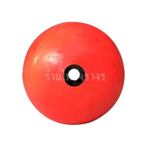 ทุ่นลอยน้ำ