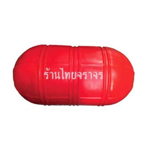 ทุ่นลอยน้ำ