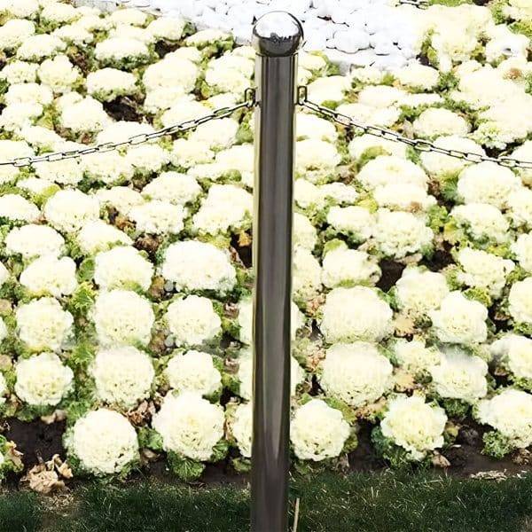 เสากั้นสแตนเลสชนิดหัวลูกบอล