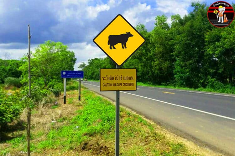 ป้ายเตือนระวังสัตว์