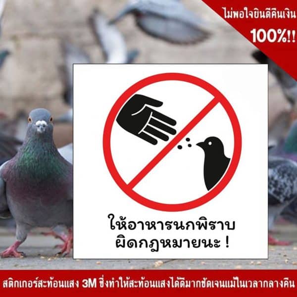 ป้ายห้ามให้อาหารนกพิราบ NN-146 สะท้อนแสง 3M - Image 5